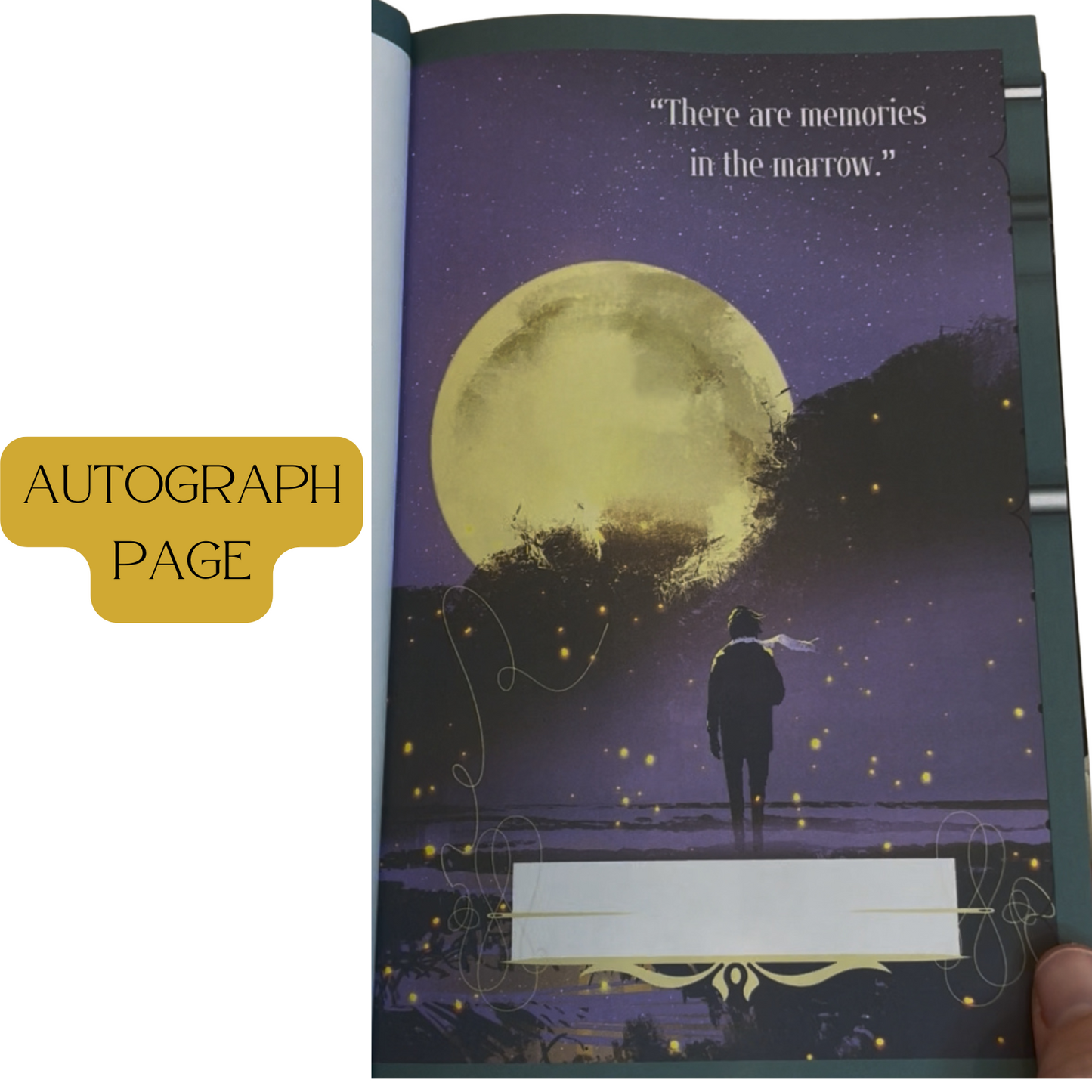 🕯️ Pre-Order: Thread the Bone – Special Illustrated Edition (LIMITED) 🕯️