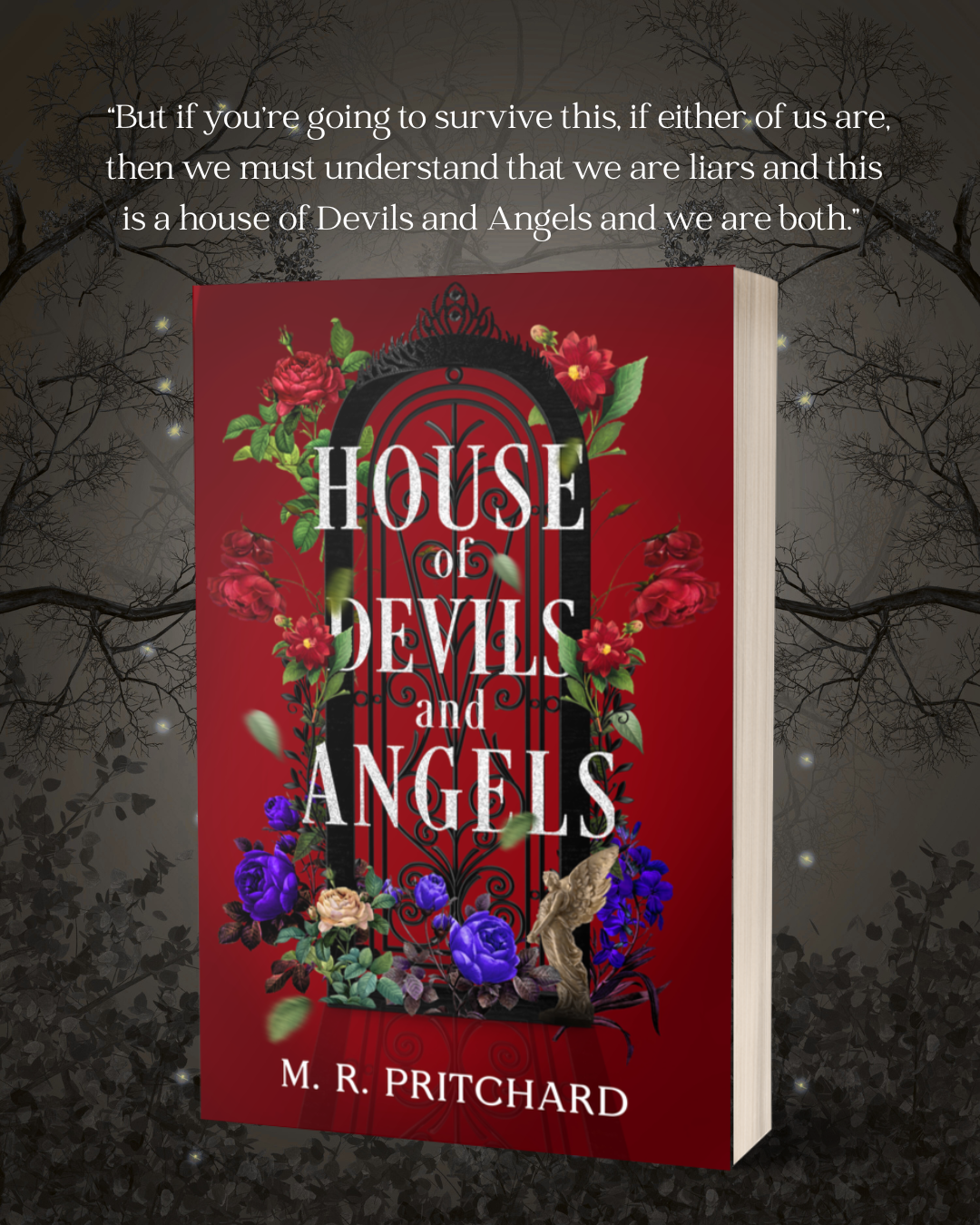 Preorder: April Book Box featuring "House of Devils and Angels" Deluxe edition softcover